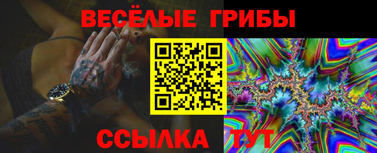 Галлюциногенные грибы прущие грибы Кимовск