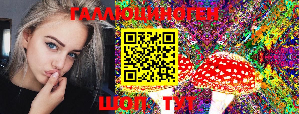 Галлюциногенные грибы мицелий  Галлюциногенные грибы Psilocybe  Вход с VPN  даркнет сайт  Кимовск 